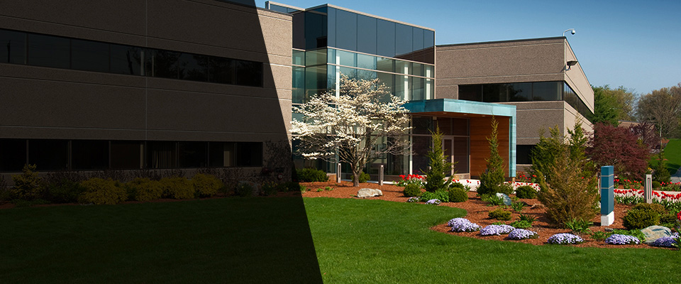 Rosamond Landscapers