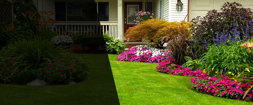 Rosamond Landscapers