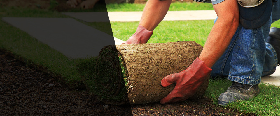 Rosamond Landscapers